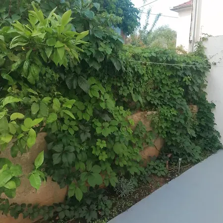 Eskinja *